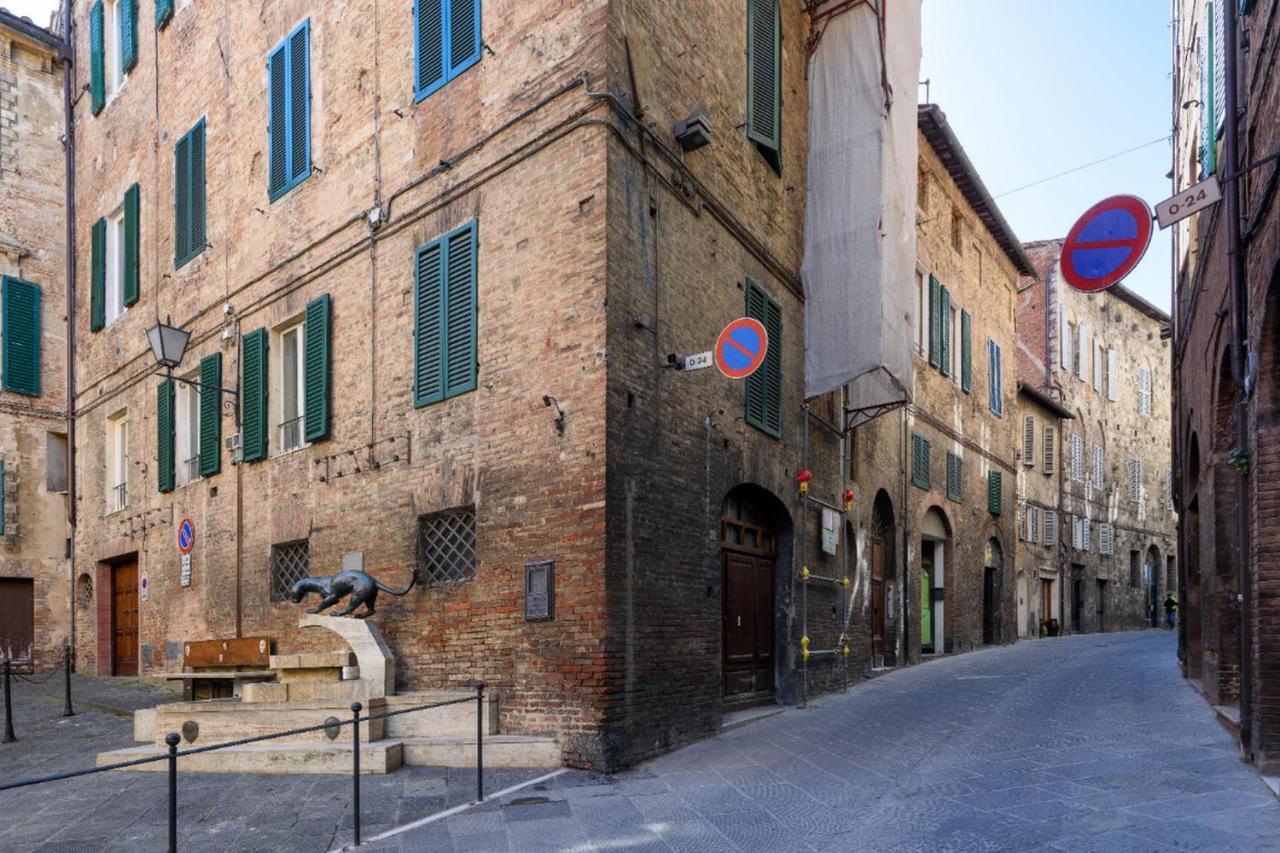 Piazza Paradiso Casa de hóspedes